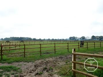 Paddock | Weide & afrastering | Incl. poort, palen, planken beschikbaar voor biedingen