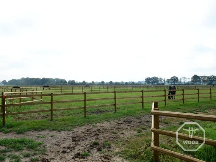 Paddock | Weide & afrastering | Incl. poort, palen, planken, Dieren en Toebehoren, Stalling en Weidegang, Opfok, Stalling, Weidegang