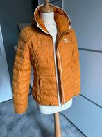 Adidas skijas, Kleding | Dames, Jassen | Winter, Ophalen of Verzenden, Zo goed als nieuw, Maat 36 (S)
