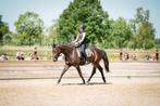 Dressuur instructie, grondwerk, zadelmak maken Tiel-Utrecht, Diensten en Vakmensen, Dieren | Paarden | Verzorging, Oppas en Les