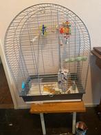Vogelkooi, Ophalen, Metaal, Vogelkooi