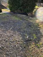 Stalling Caravan, Vouwwagen, Camper, Boot