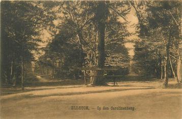 (387-157-041) Ellecom Op den Carolinenberg beschikbaar voor biedingen