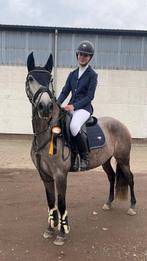 Allround toppony voor alle ruiters!!, Dieren en Toebehoren, Pony's, B, Dressuurpony, 7 tot 10 jaar, D pony (1.37m tot 1.48m)