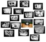 16mm film oude Terrytoon - The Lion Hunt - 1938 -, Audio, Tv en Foto, Filmrollen, Ophalen of Verzenden, 16mm film
