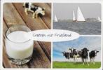 Ch780 ansichtkaart reclamekaart spar groeten uit Friesland, Verzamelen, Ansichtkaarten | Nederland, Ophalen of Verzenden, 1980 tot heden