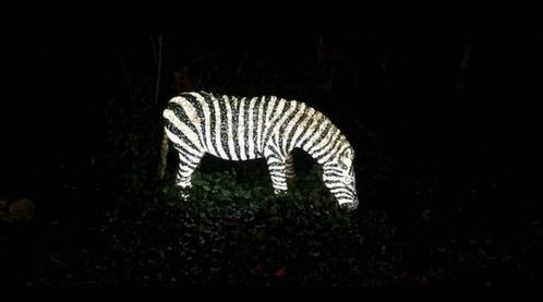 2 levensgrote zeebra's met verlichting, Tuin en Terras, Tuinbeelden, Gebruikt, Dierenbeeld, Overige materialen, Ophalen