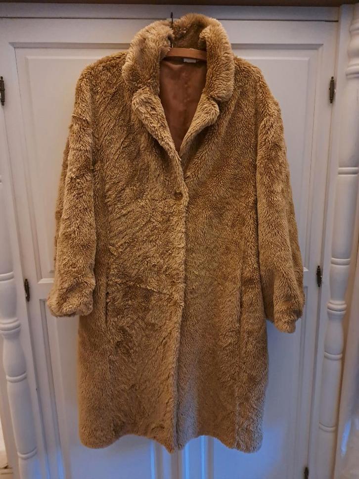 jas (M&S Mode) 46, Kleding | Dames, Jassen | Winter, Gedragen, Maat 46/48 (XL) of groter, Bruin, Ophalen of Verzenden