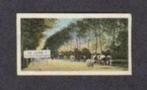 Verzamelplaatje Tussen Gasselte en Gasselternijveen 1910., Verzamelen, Ophalen of Verzenden, Zo goed als nieuw