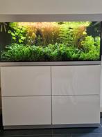 Oase Highline 300 + toebehoren, Dieren en Toebehoren, Vissen | Aquaria en Toebehoren, Ophalen, Zo goed als nieuw