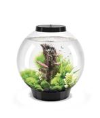 Biorb Auqarium, Ophalen, Gebruikt, Gevuld zoetwateraquarium