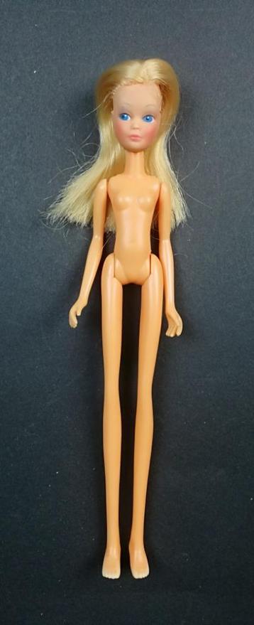 Long Legged Pepper 1970's NL (4) beschikbaar voor biedingen