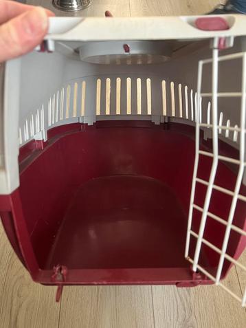 Reismand kat, konijn, kleine hond beschikbaar voor biedingen