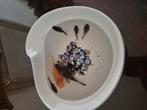Pleco algeneters, Dieren en Toebehoren, Vis