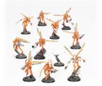Warhammer 40k vespid stingwings kill team sprue nieuw, Hobby en Vrije tijd, Wargaming, Ophalen of Verzenden, Nieuw, Warhammer