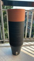 Elho green basics growpot 9 liter (48 stuks), Ophalen, Kunststof, Minder dan 30 cm, Minder dan 60 cm
