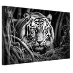 zwart wit tijger portret canvas 60x40cm - 18mm., Huis en Inrichting, Woonaccessoires | Schilderijen, Tekeningen en Foto's, Minder dan 50 cm