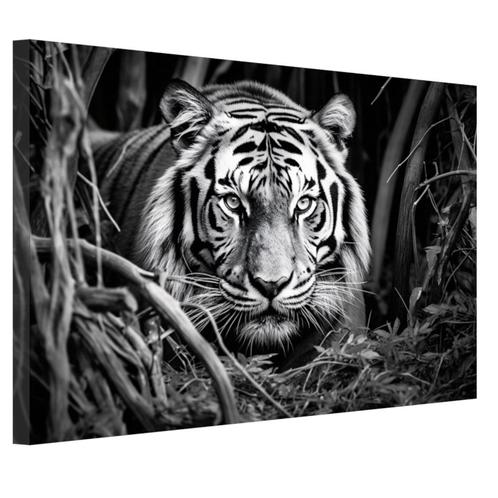 zwart wit tijger portret canvas 60x40cm - 18mm., Huis en Inrichting, Woonaccessoires | Schilderijen, Tekeningen en Foto's, Nieuw