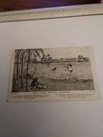 THE. FIRST. MIXED BATHING. 1907, Ophalen of Verzenden, Voor 1920, Sterren en Beroemdheden