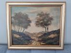 Landschap schilderij met bomen, Ophalen of Verzenden