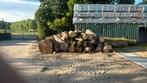 Eiken kastanje beuk Els, Tuin en Terras, Haardhout, 6 m³ of meer, Ophalen of Verzenden, Blokken