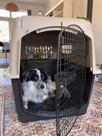 Top Petmate transport Kennel Hond Large - Ultra Vari Dog, Ophalen, Zo goed als nieuw