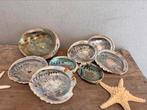 Abalone schelp parelmoer schelpen, Verzamelen, Mineralen en Fossielen, Verzenden, Schelp(en)