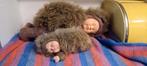 Anne Geddes egel poppen, Ophalen of Verzenden, Zo goed als nieuw, Pop, Levensecht of Reborn