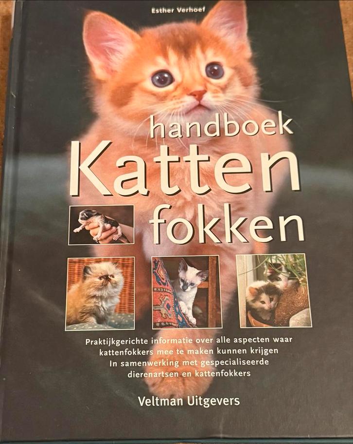Handboek Katten Fokken - Esther Verhoef, Boeken, Dieren en Huisdieren, Zo goed als nieuw, Katten, Ophalen of Verzenden