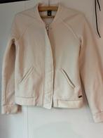 Beige tricot jasje maison scotch 1 34 36, Beige, Ophalen of Verzenden, Jasje, Maat 36 (S)