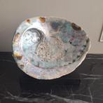 Mooie parelmoer abalone schelp op voet | vakkenkast chique, Huis en Inrichting, Woonaccessoires | Overige, Ophalen of Verzenden