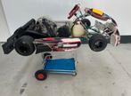 Tony Kart 125CC Rotax Senior, Sport en Fitness, Karting, Ophalen, Gebruikt, Kart