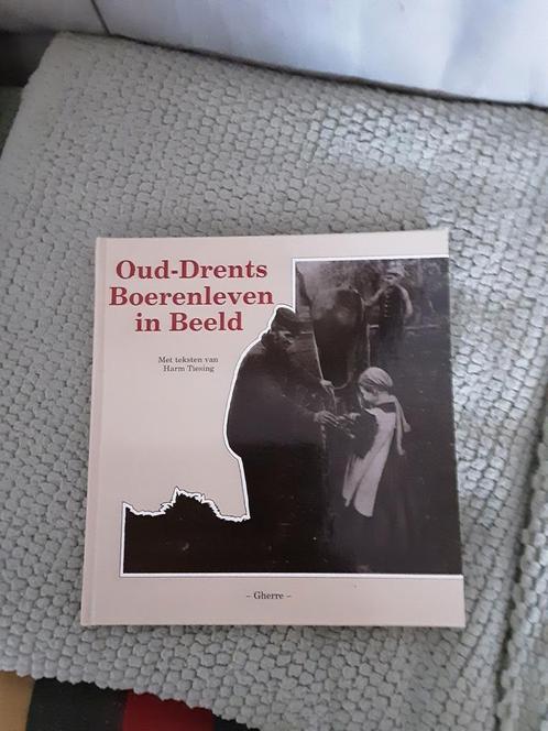 Oud-Drents Boerenleven in Beeld-----Harm Tiesing, Boeken, Geschiedenis | Stad en Regio, Zo goed als nieuw, 20e eeuw of later, Ophalen of Verzenden