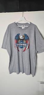 Harley Davidson T-shirt - Vintage Look, Kleding | Heren, T-shirts, Overige maten, Ophalen of Verzenden, Harley Davidson, Grijs