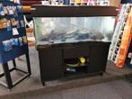 Aquarium compleet, 130x50x50, onderkast incl cichliden., Gebruikt, Ophalen, Gevuld zoetwateraquarium