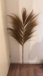 Pluim nieuw, Ophalen, Nieuw