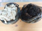 wol quessant schaap, Ophalen of Verzenden, Nieuw, Breien of Haken, Wol of Garen