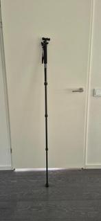 Monopod met Balhoofd Benro, Eenpoot, Ophalen of Verzenden, Zo goed als nieuw, 150 tot 175 cm