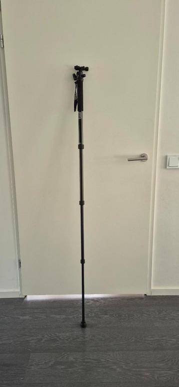 Monopod met Balhoofd Benro beschikbaar voor biedingen
