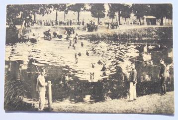 Militair: Oefening in het paardenzwemmen Cavalerie. beschikbaar voor biedingen