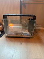 Te koop leeg aquarium, Ophalen, Zo goed als nieuw, Leeg aquarium