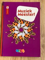 Muziek Meester - Kunstvakken, Ophalen of Verzenden, Zo goed als nieuw, HBO