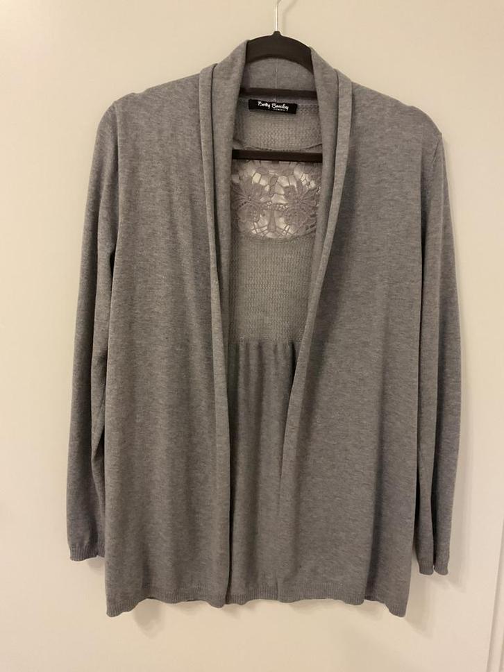 Feestelijk vest v.B.Barclay, mt 38,grijs met mooie kantinzet, Kleding | Dames, Truien en Vesten, Zo goed als nieuw, Maat 38/40 (M)