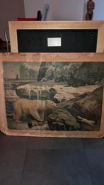 Te midden van sneeuw en ijs’, Antiek en Kunst, Antiek | Schoolplaten, Ophalen, Natuur en Biologie