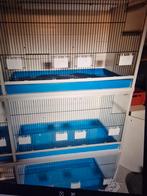 Van Keulen broedkooien, Dieren en Toebehoren, Ophalen, Gebruikt, Broedkooi of Kweekkooi