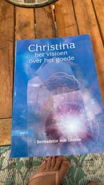 Bernadette von Dreien - Het visioen over het goede, Spiritualiteit algemeen, Ophalen of Verzenden, Zo goed als nieuw, Bernadette von Dreien