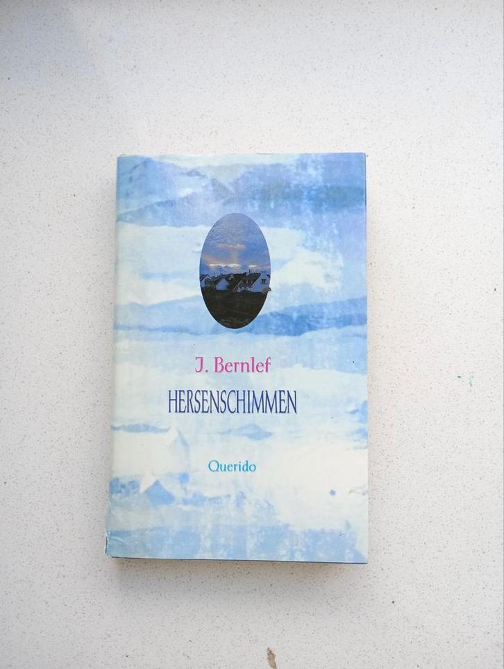Hersenschimmen - J. Bernlef, Boeken, Literatuur, Gelezen, Nederland, Ophalen of Verzenden
