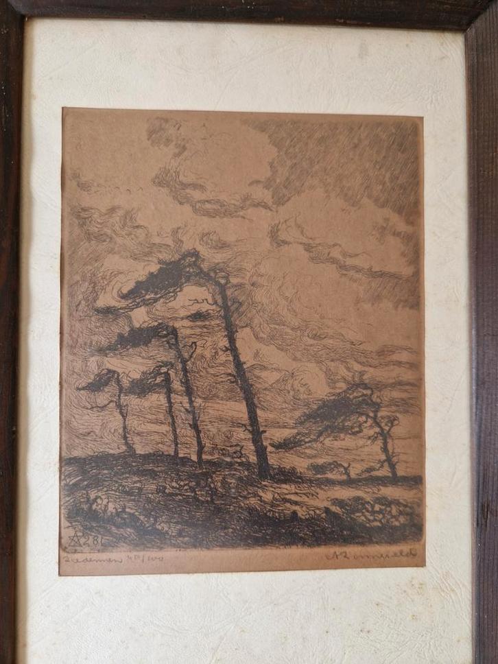 Arie Zonneveld Ets 1928 - Genummerde Editie, Antiek en Kunst, Kunst | Etsen en Gravures, Ophalen of Verzenden