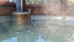 Hastings,  houtgestookte hottub, Ophalen, Gebruikt, Pomp, Vast
