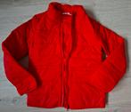 Rood winter/herfst jas maat 134 van H&M, Kinderen en Baby's, Meisje, H&M, Ophalen of Verzenden, Zo goed als nieuw